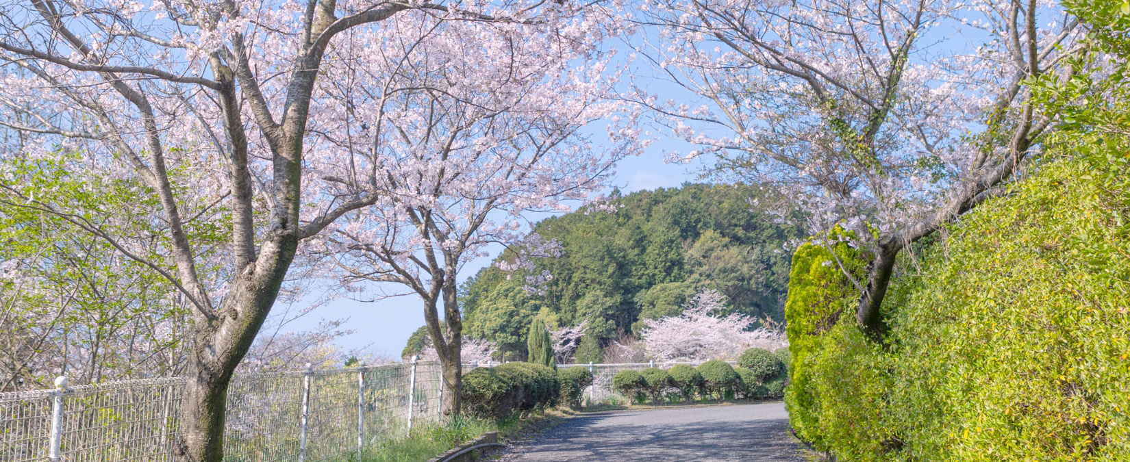 澄んだ空気と美しい景色