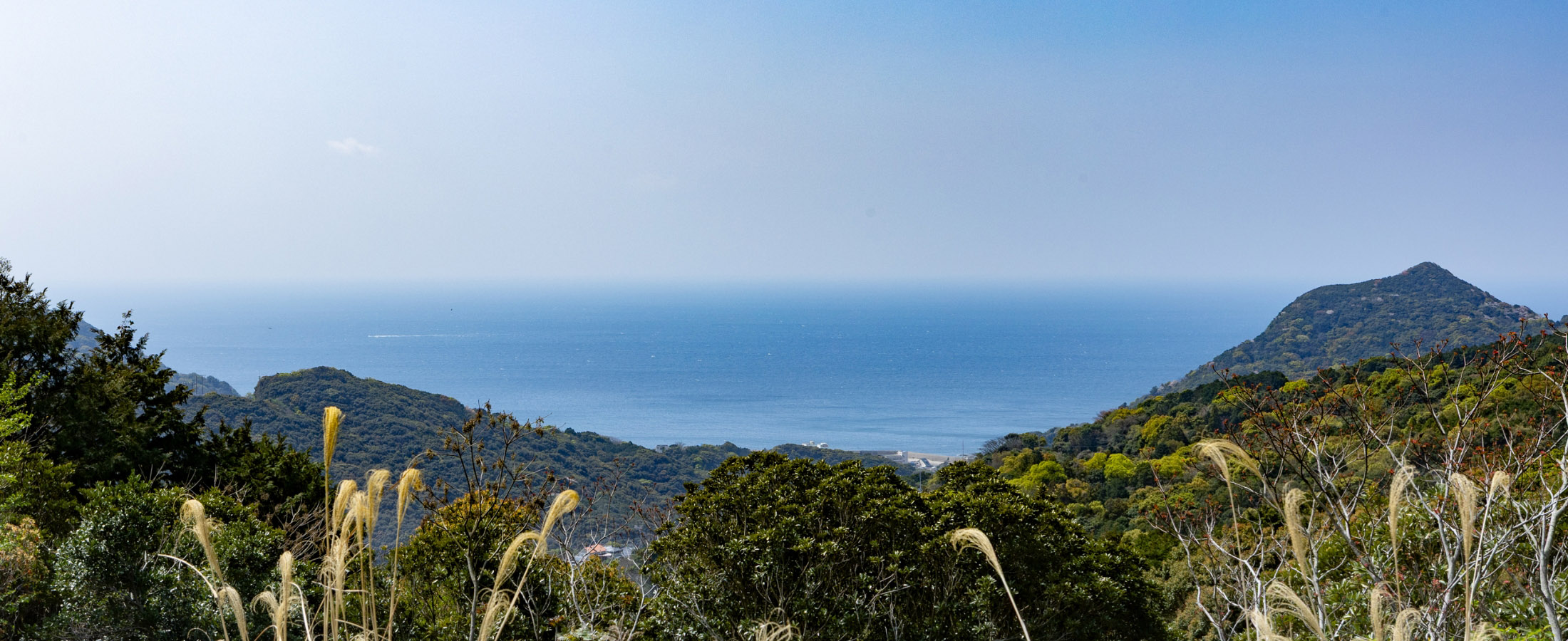 絶景！ホームから海が望め自然環境